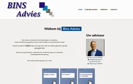 Website van Bins Advies, gebouwd door XSOnline